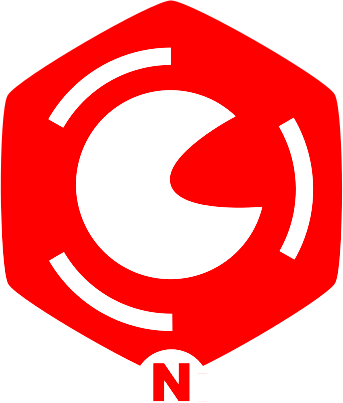 Логотип НСПН